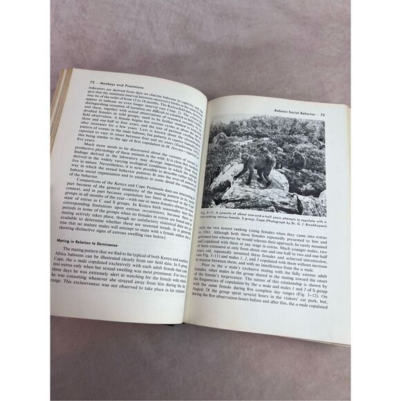 Vintage 1960s Primate Behavior: Field Studies of Monkeys and Apes Book - Picture 8 of 9